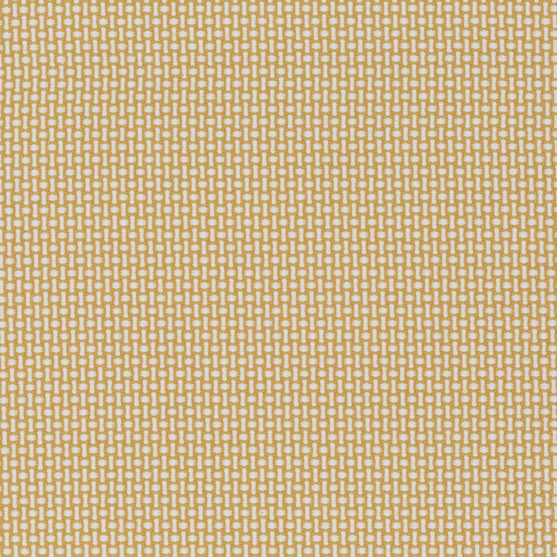 041