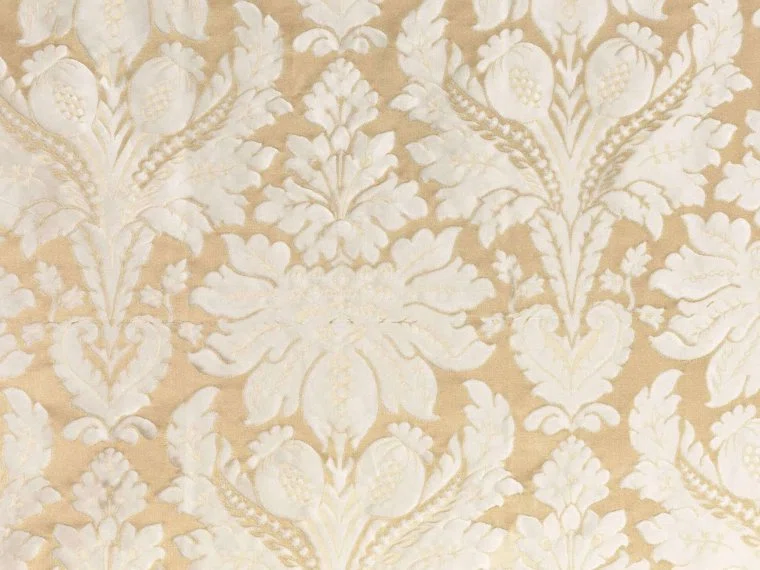 Braquenie Chambord - damas  