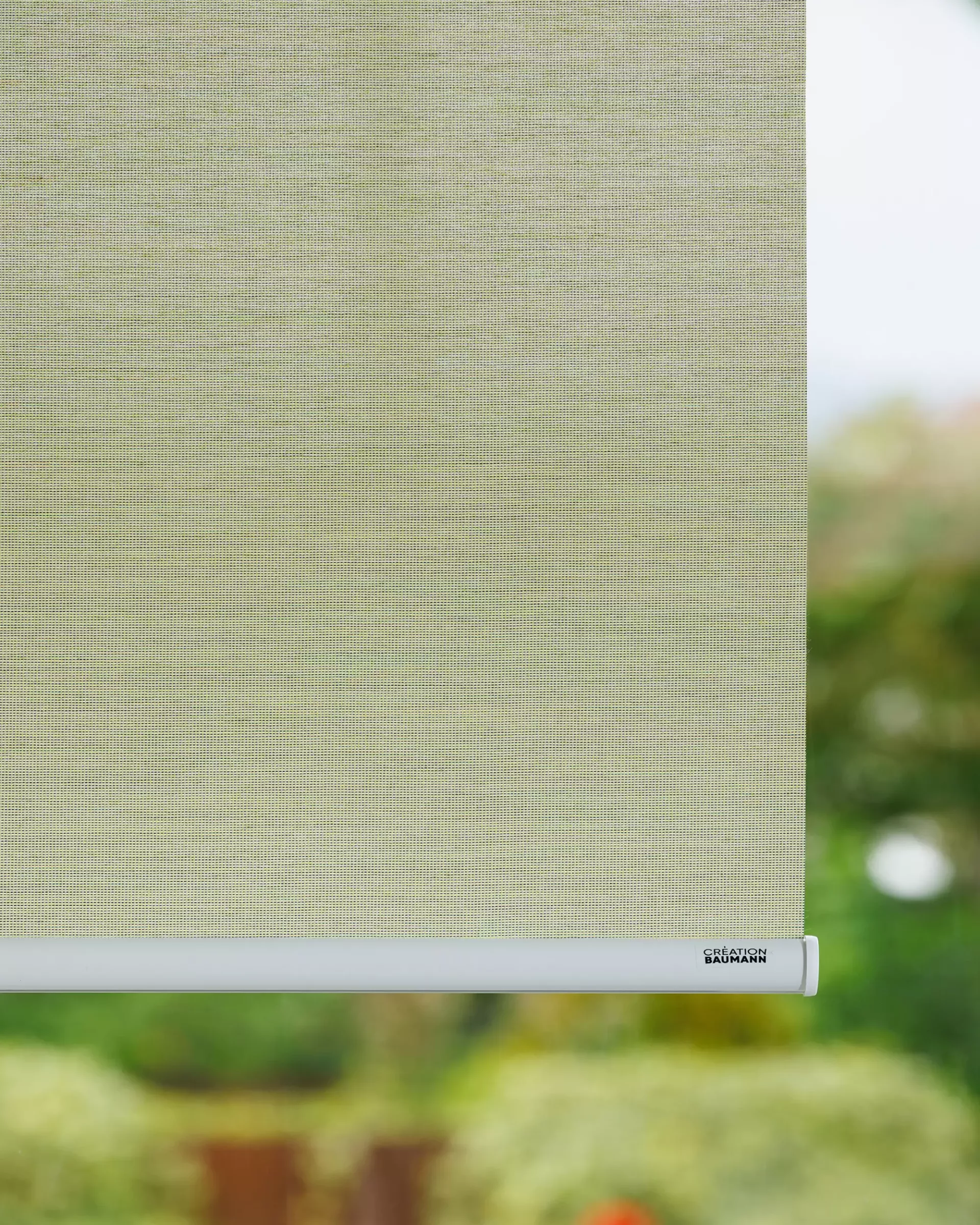 Création Baumann Basic Fil R