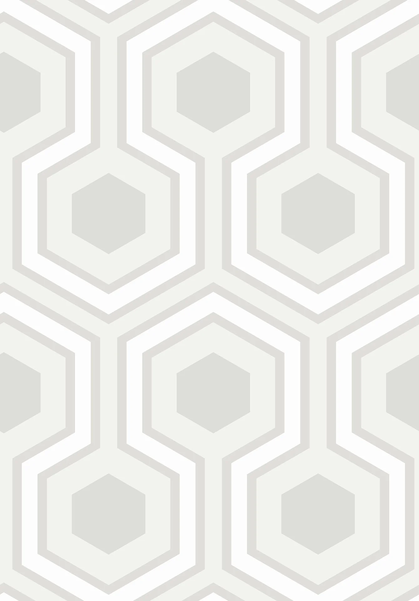 Chalk & Dove on Shell