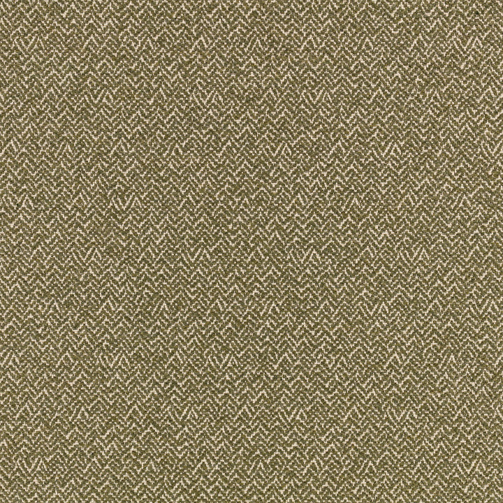 Fern