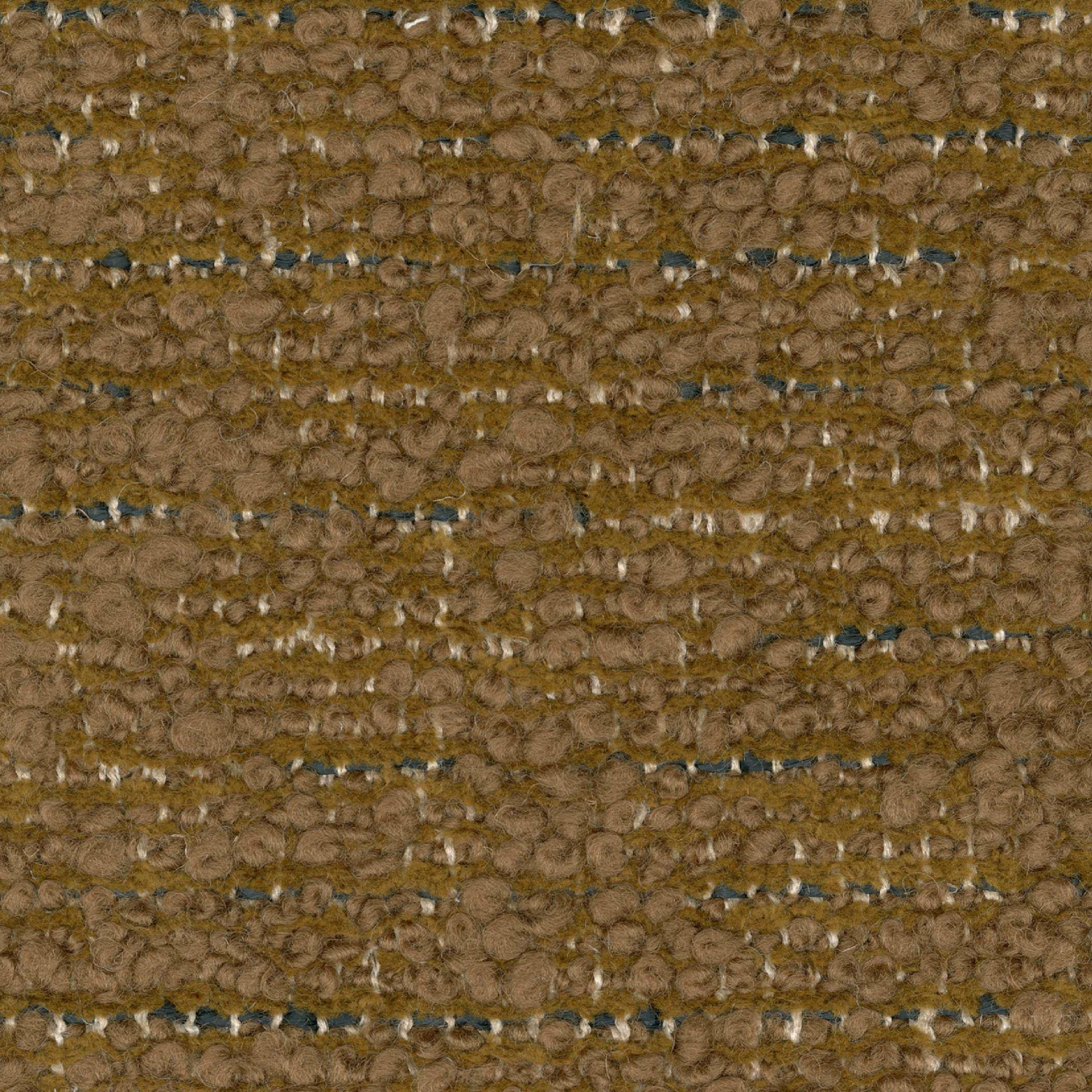 Obscurité des forêts