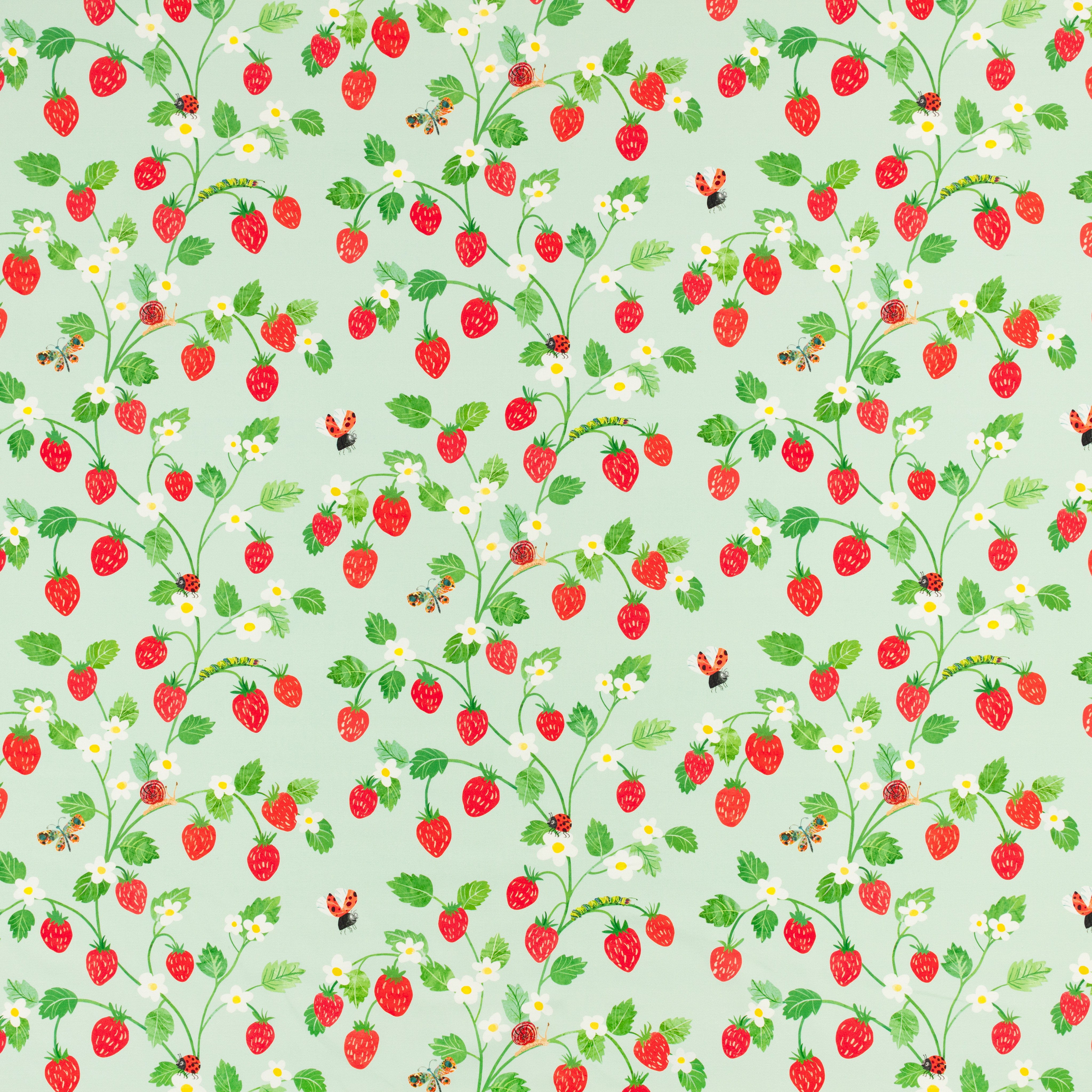 Strawberry Patch