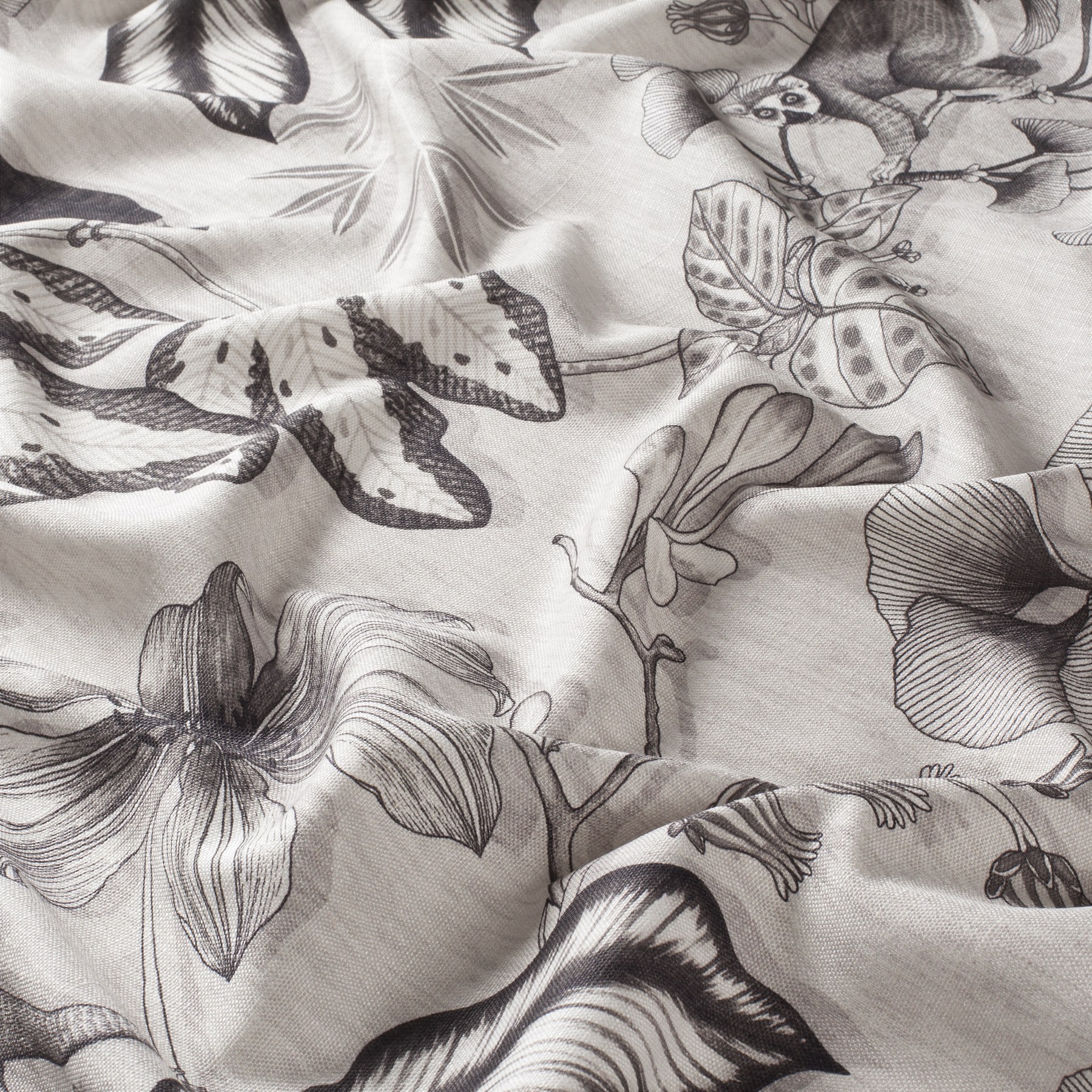 Chivasso Fantastic Madagascar