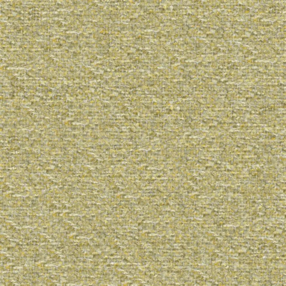 Acacia