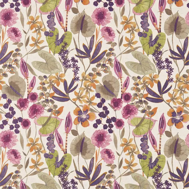 Loganberry/Apricot