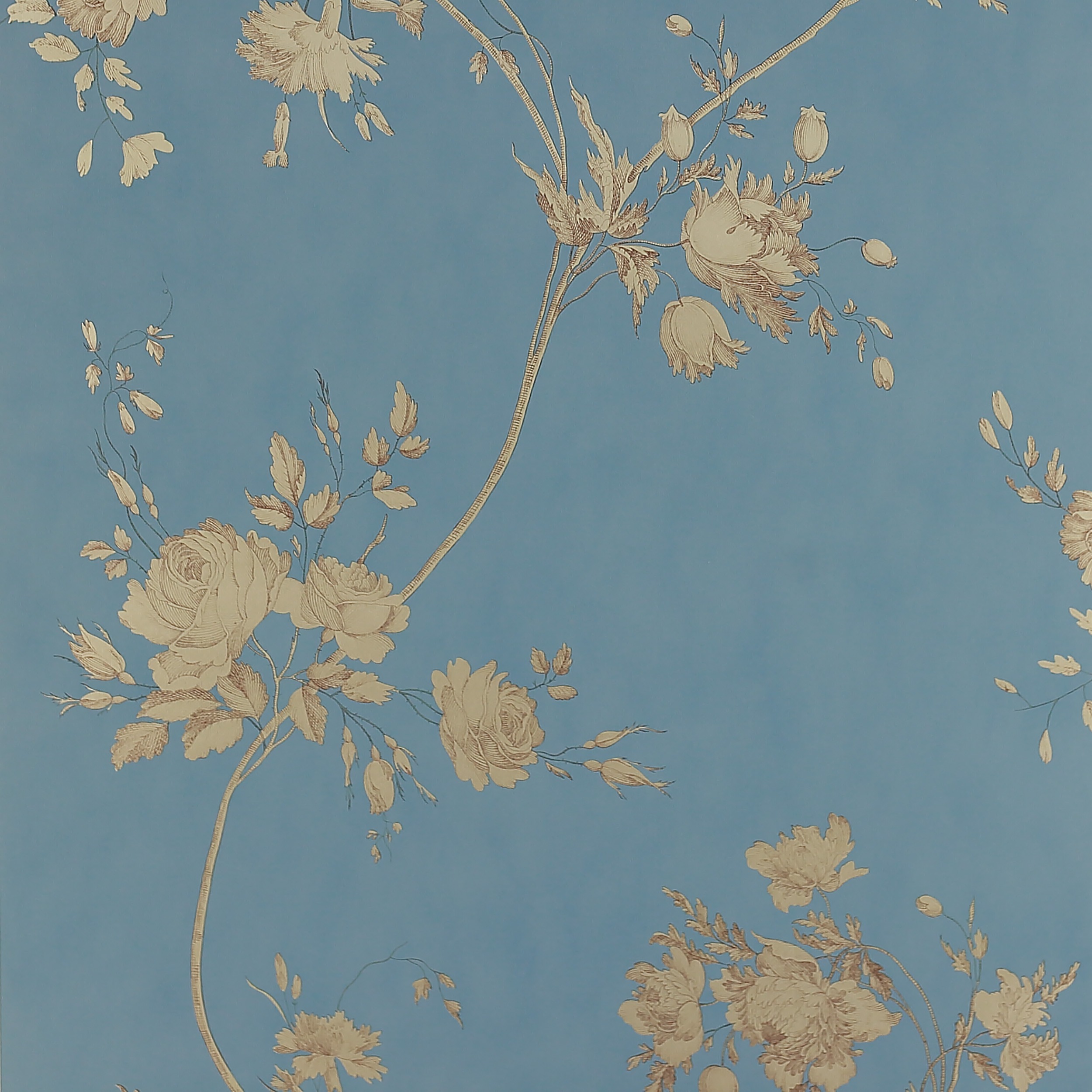 Old Blue