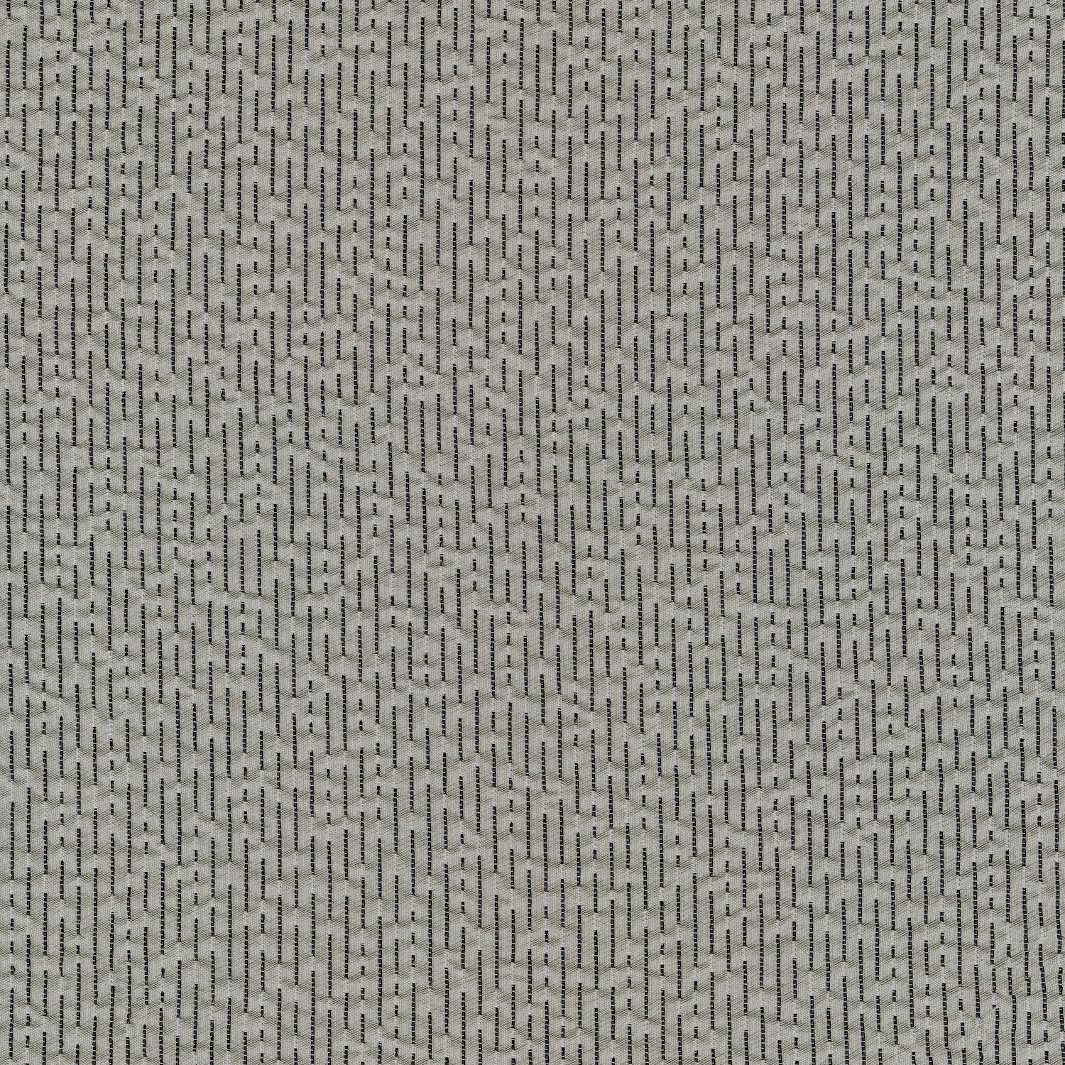 Fb. 0155