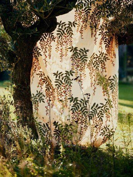 Etamine Monde Botantique