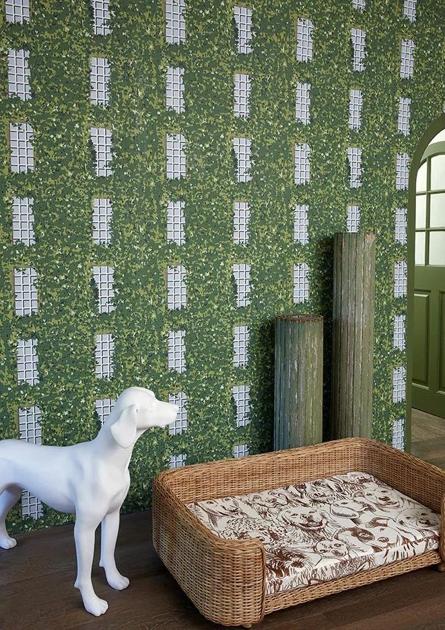 Pierre Frey Designer dogs 