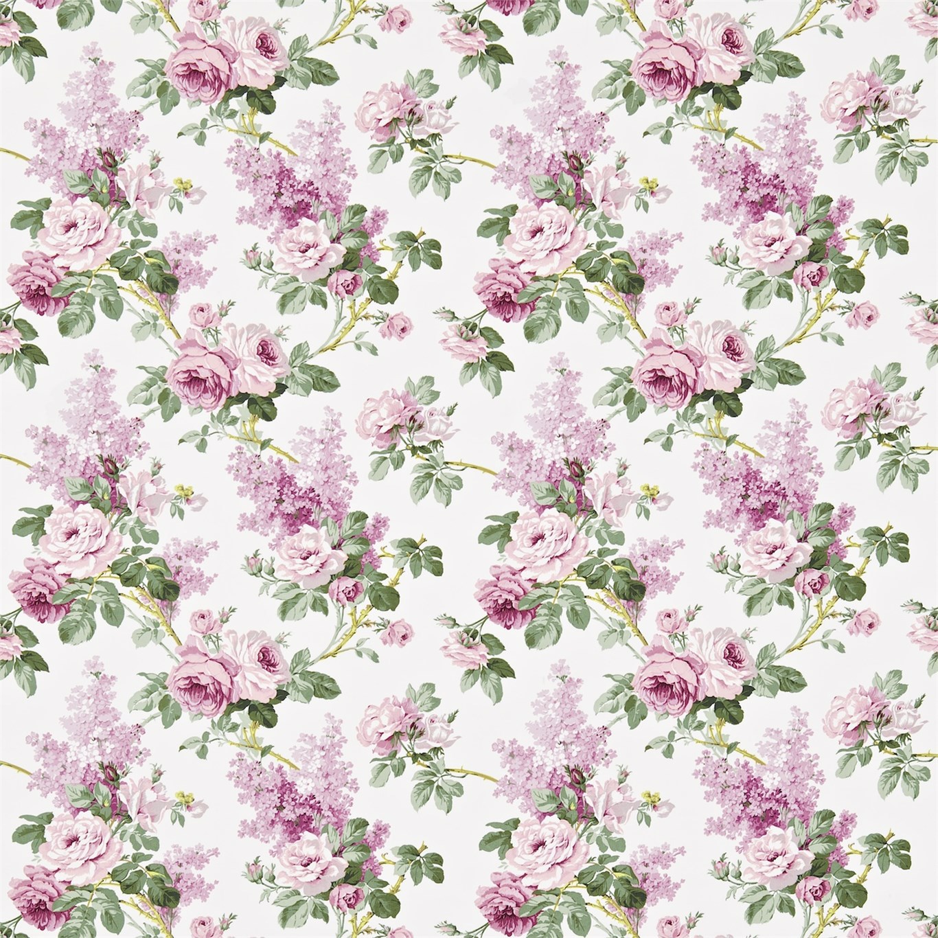 Sanderson Sorilla Cotton