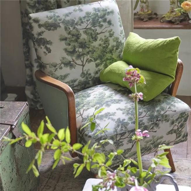 John Derian Woodland