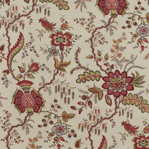 Braquenie Coromandel  