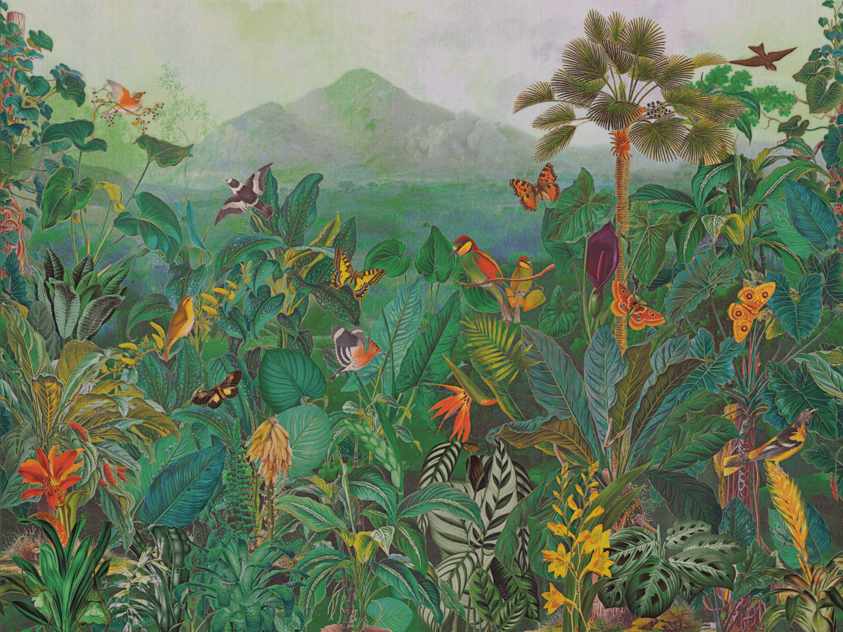 Omexco The Tropics