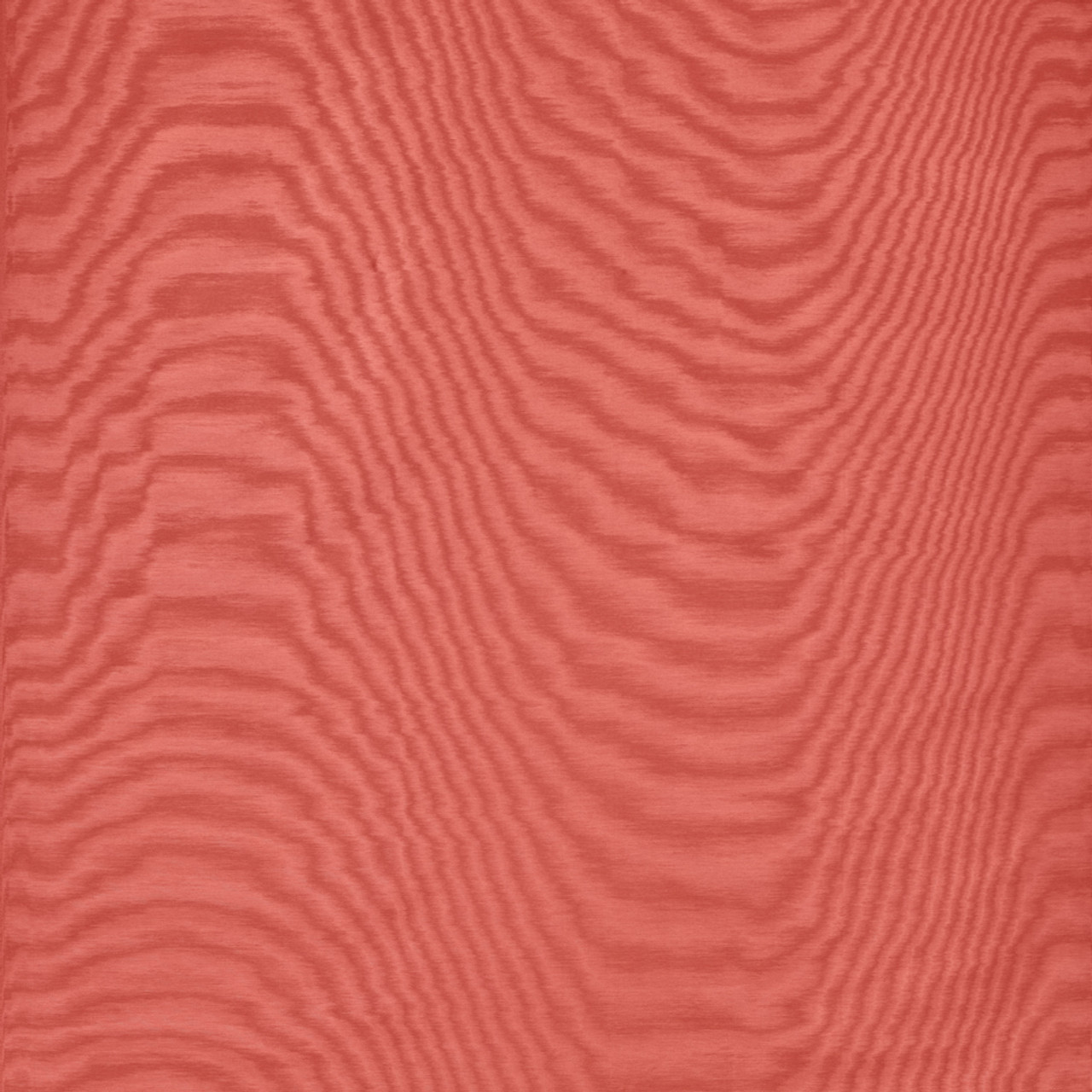 Corallo