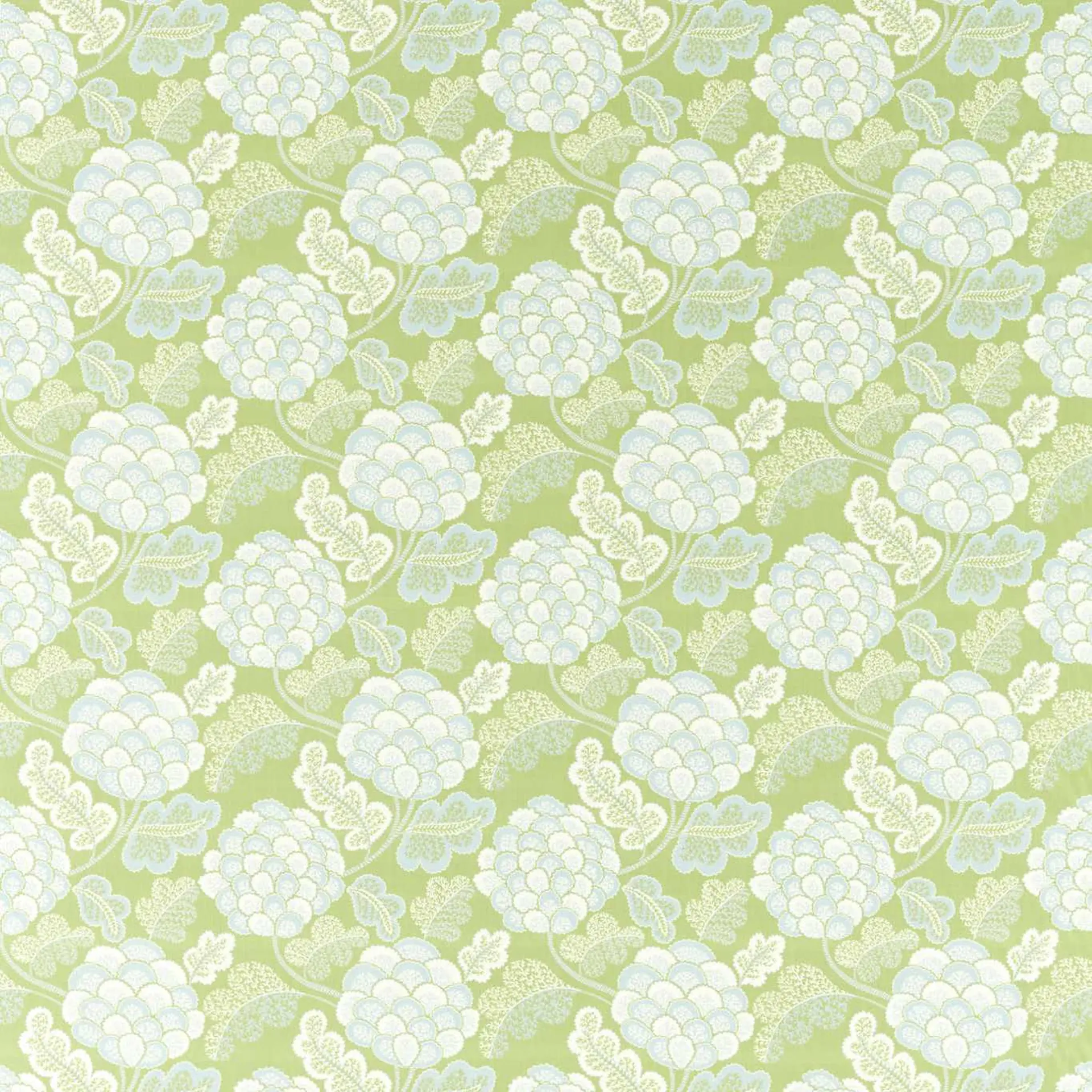 Tree Canopy/Silver Willow