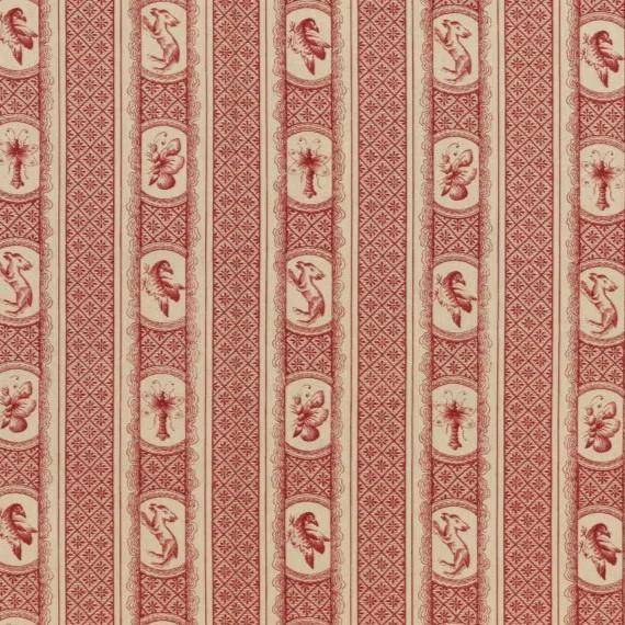 Braquenie Marquis de pierre - rayure 