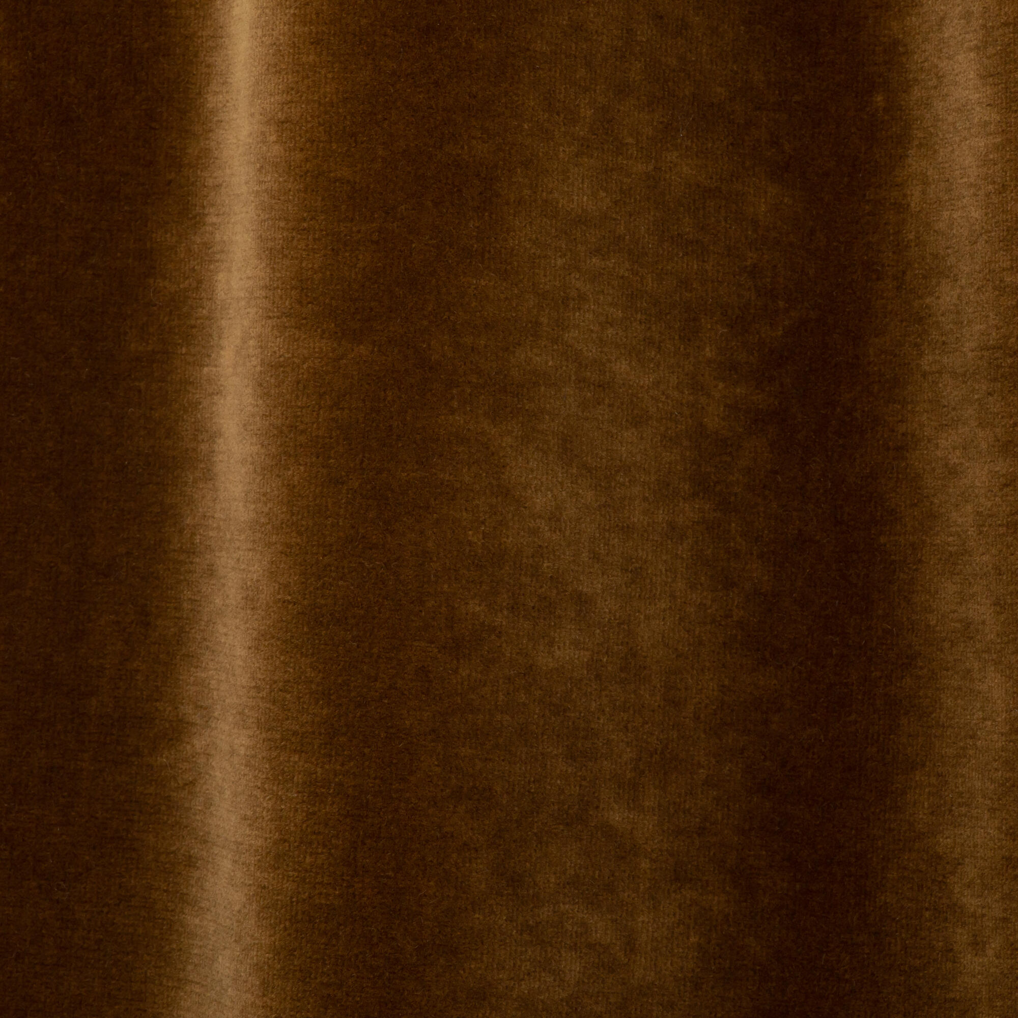 BRUN MOINE