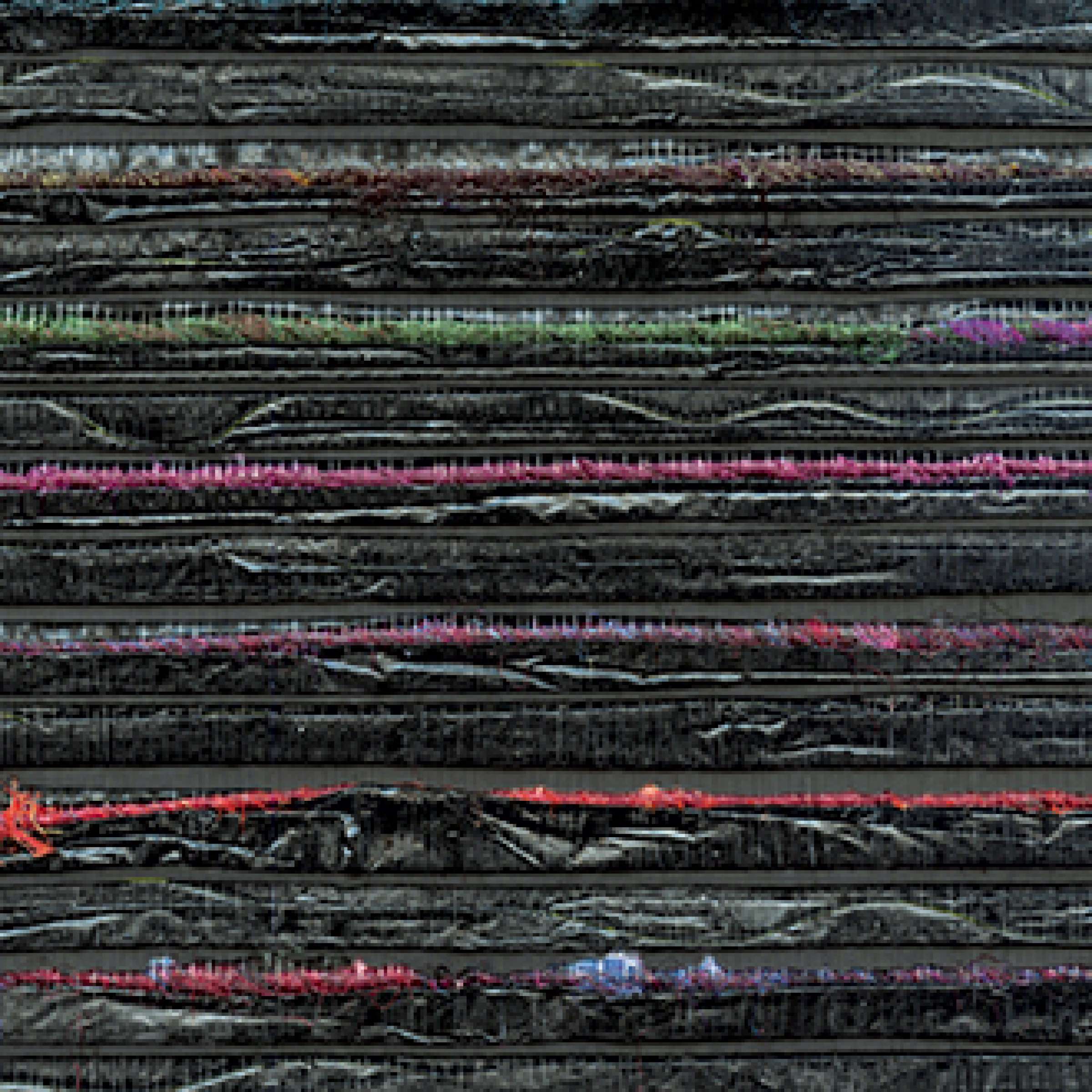 Fidèle comme une ombre