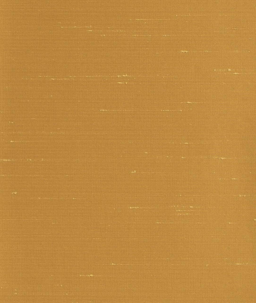 Bellini