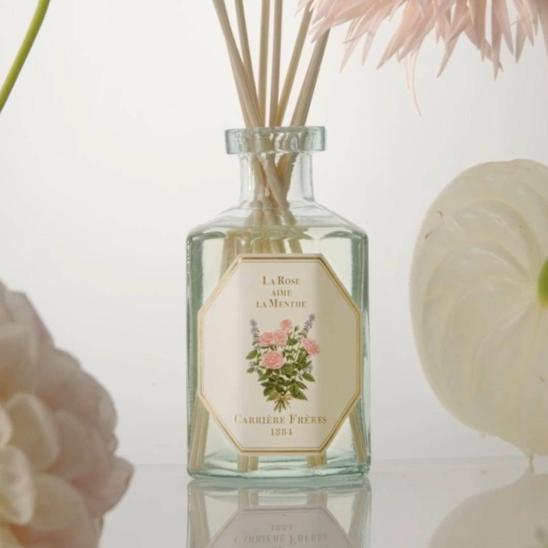 Carrière Frères La Rose aime la Menthe Carrière Frères La Rose aime la Menthe