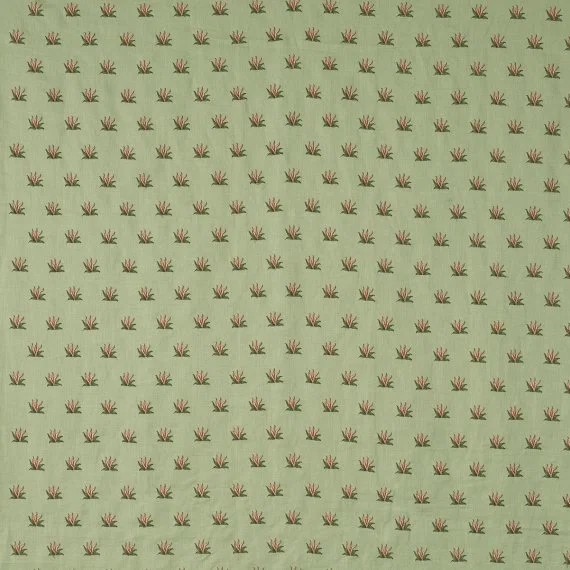 Braquenie Coulonges contrefond