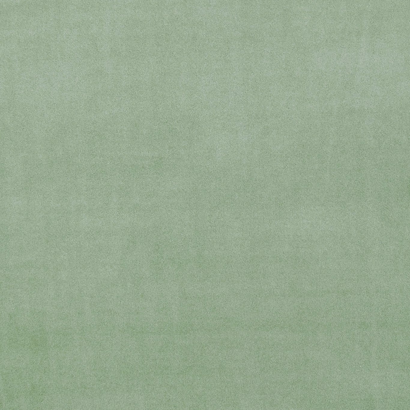 Celadon