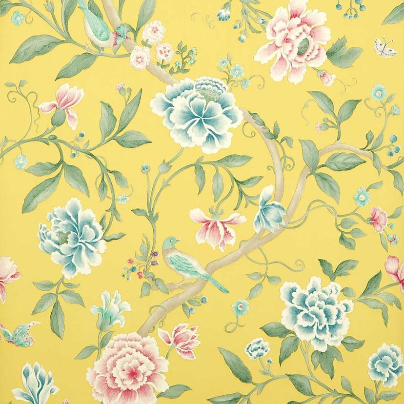 Rose/Linden
