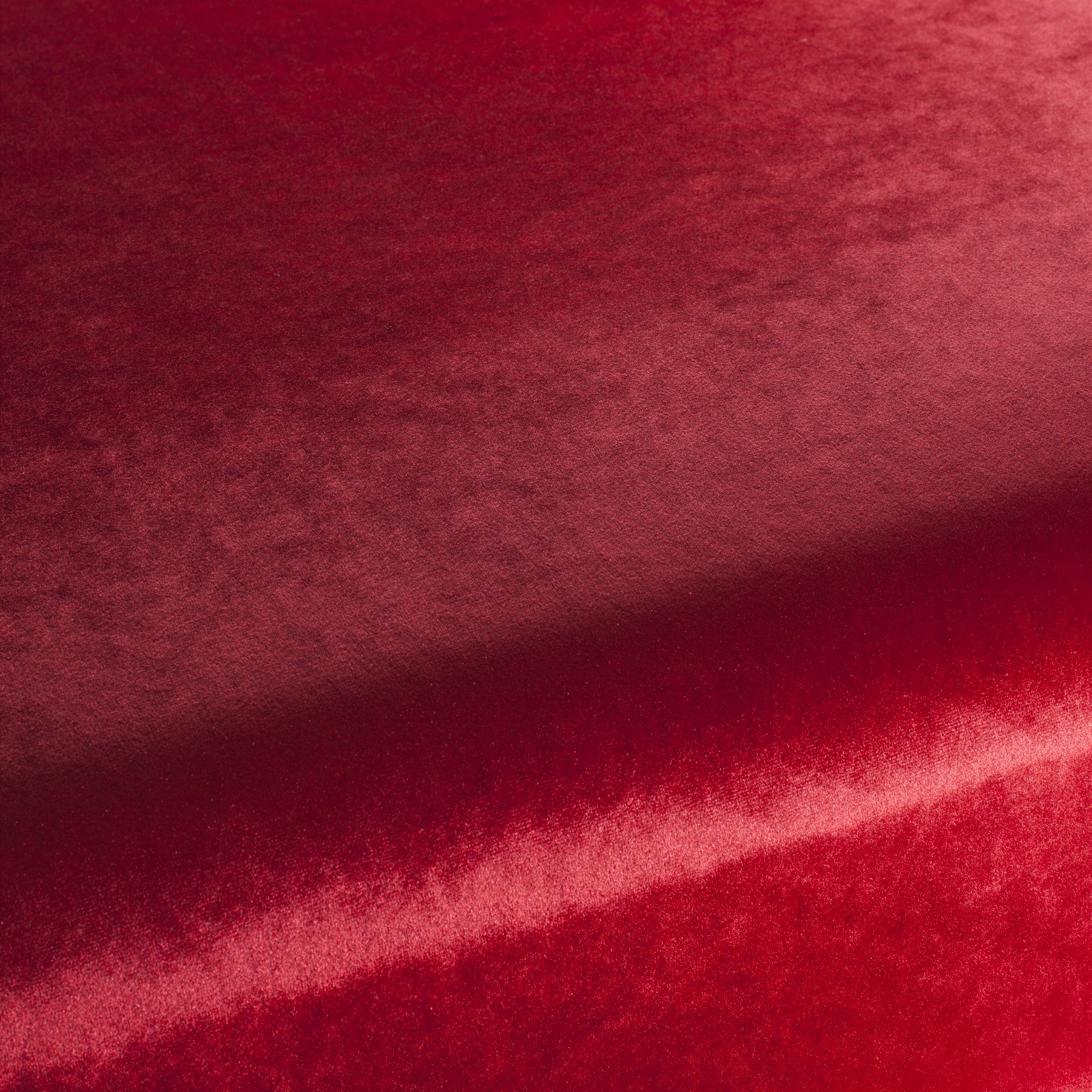 Carlucci Palazzo Velvet Reloaded