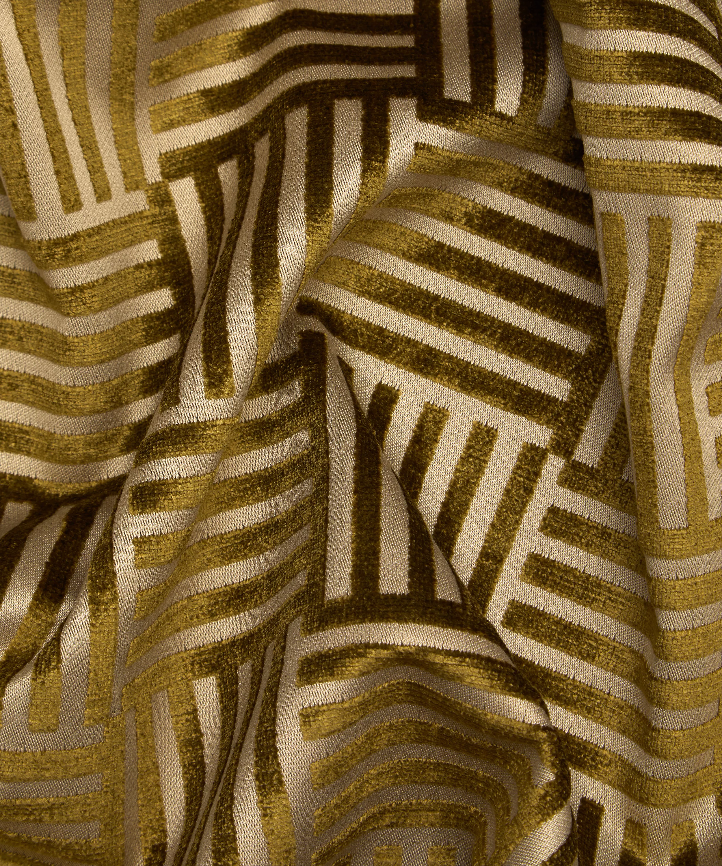 Kelp