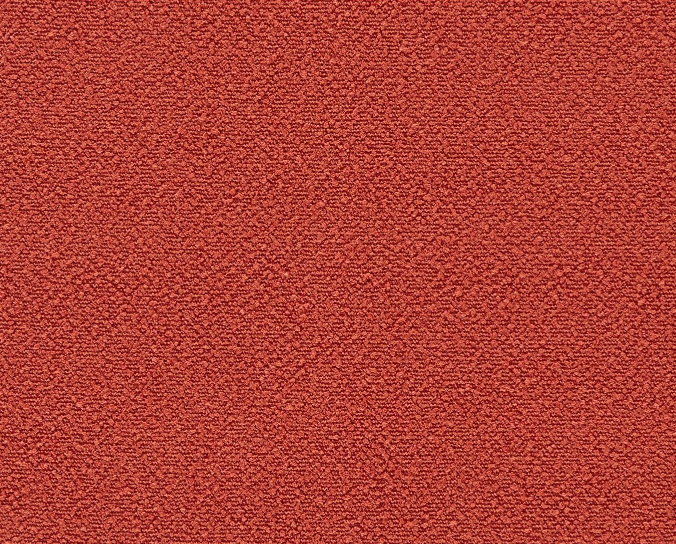Rhubarb