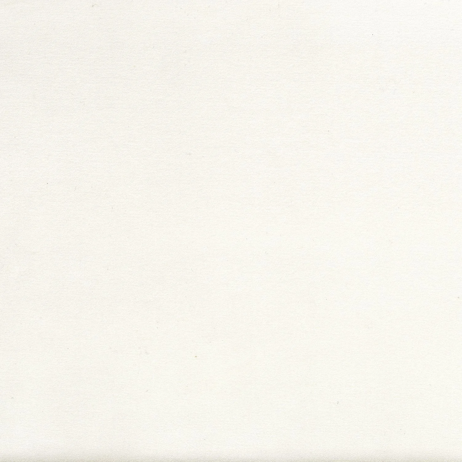 Blanc Petale