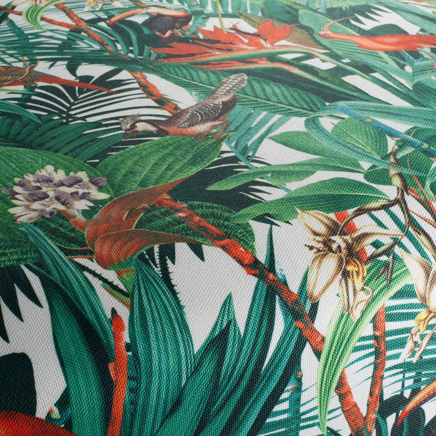 JAB Jungle Birds