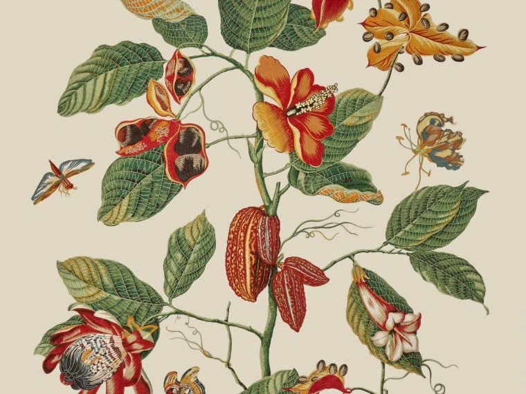 Pierre Frey Nakai broderie 