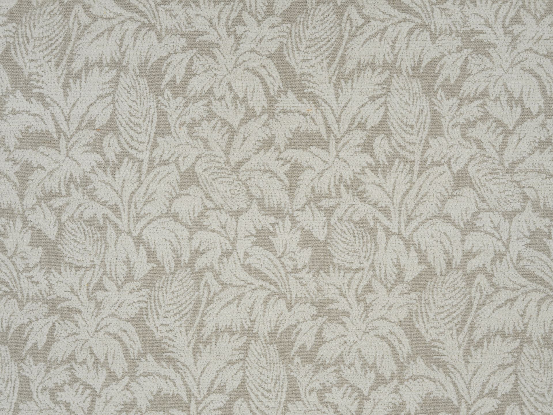 Jim Thompson Parlor Palms 