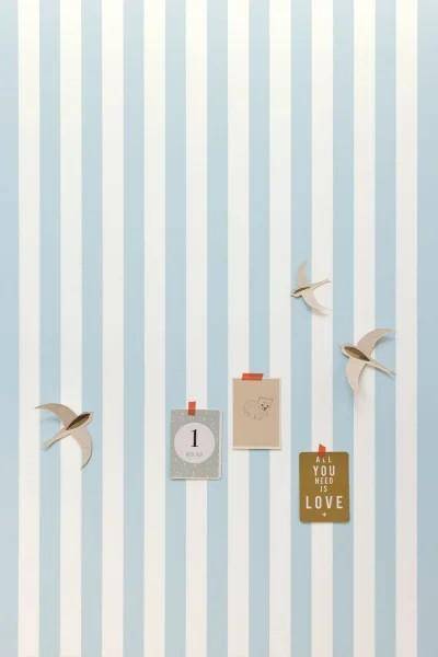 Caselio Little Lines