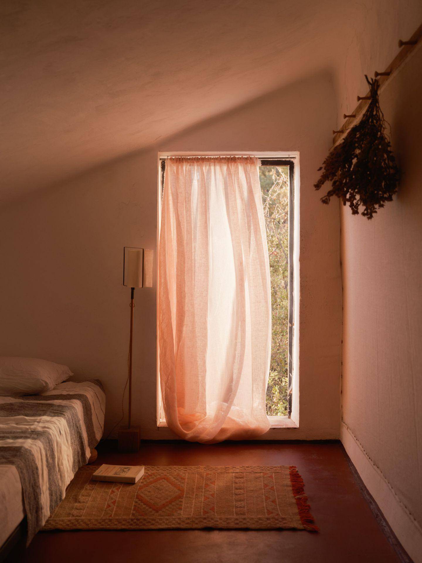 Etamine Pétale de lin