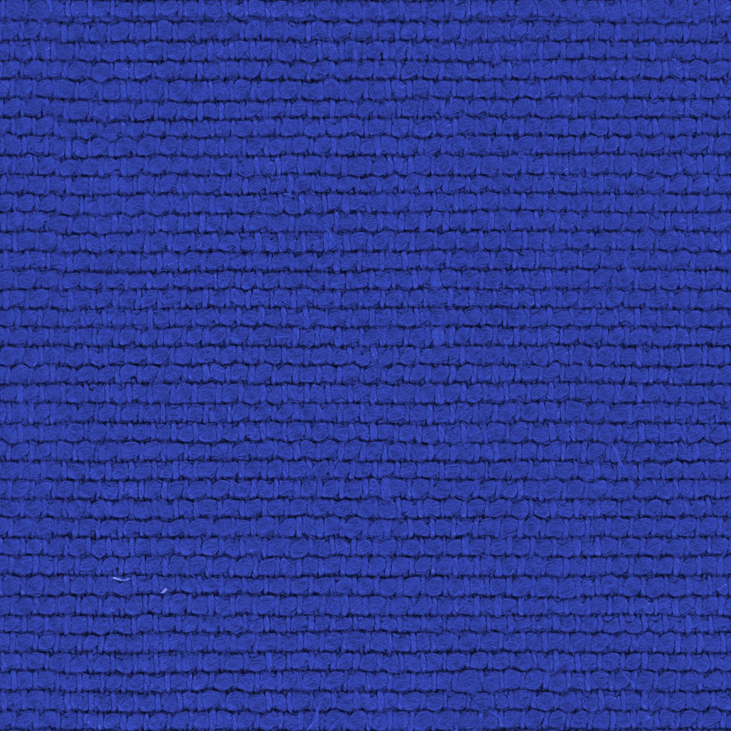 556