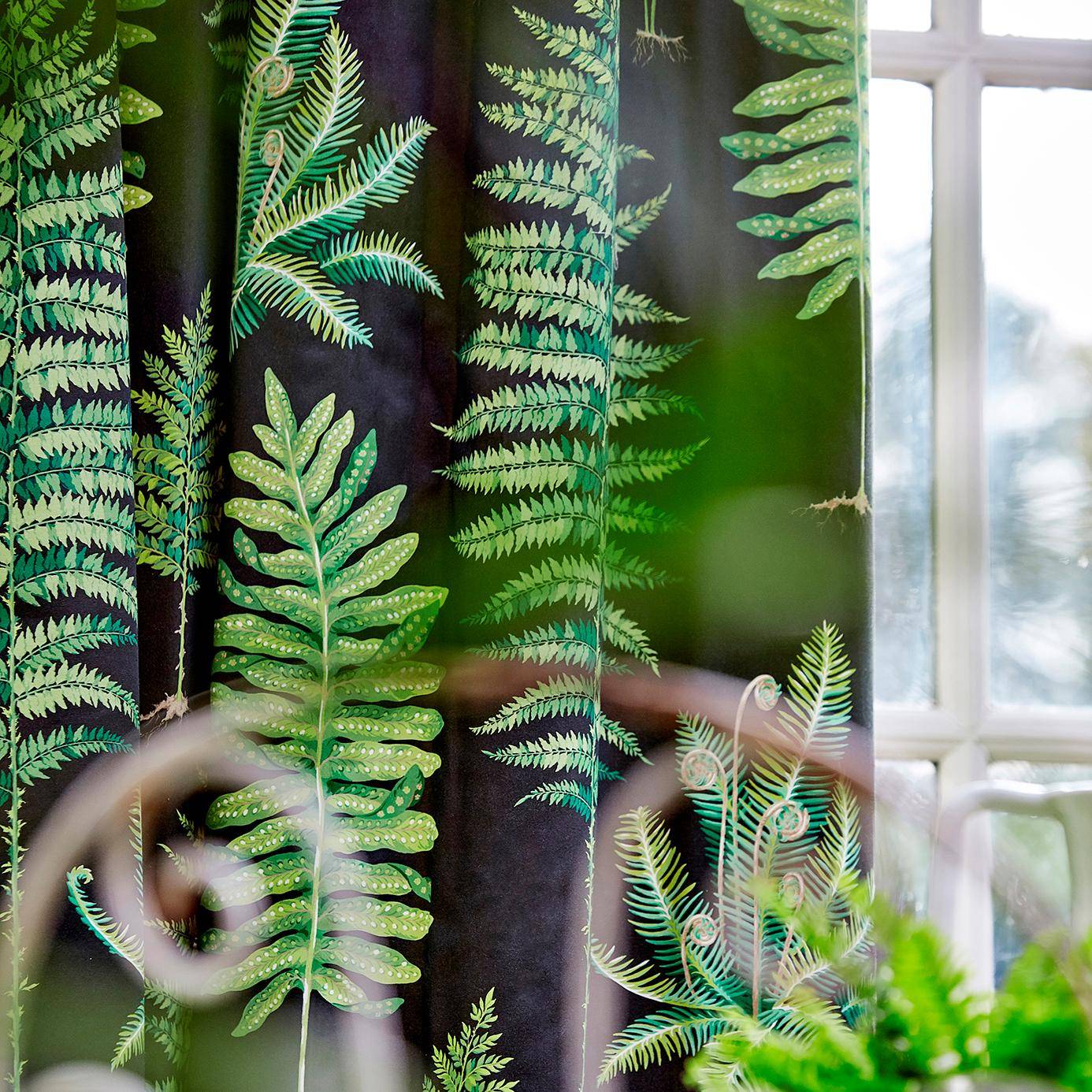 Sanderson Fernery
