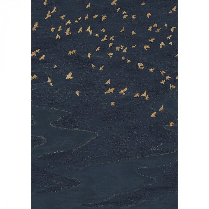 Casamance Migration