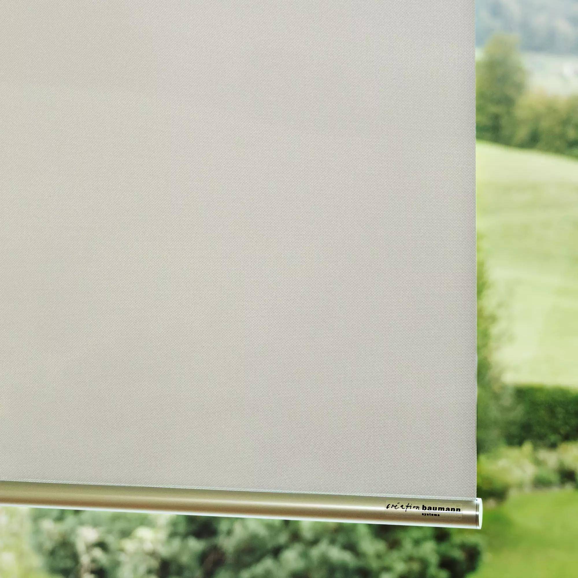 Création Baumann Screentec R