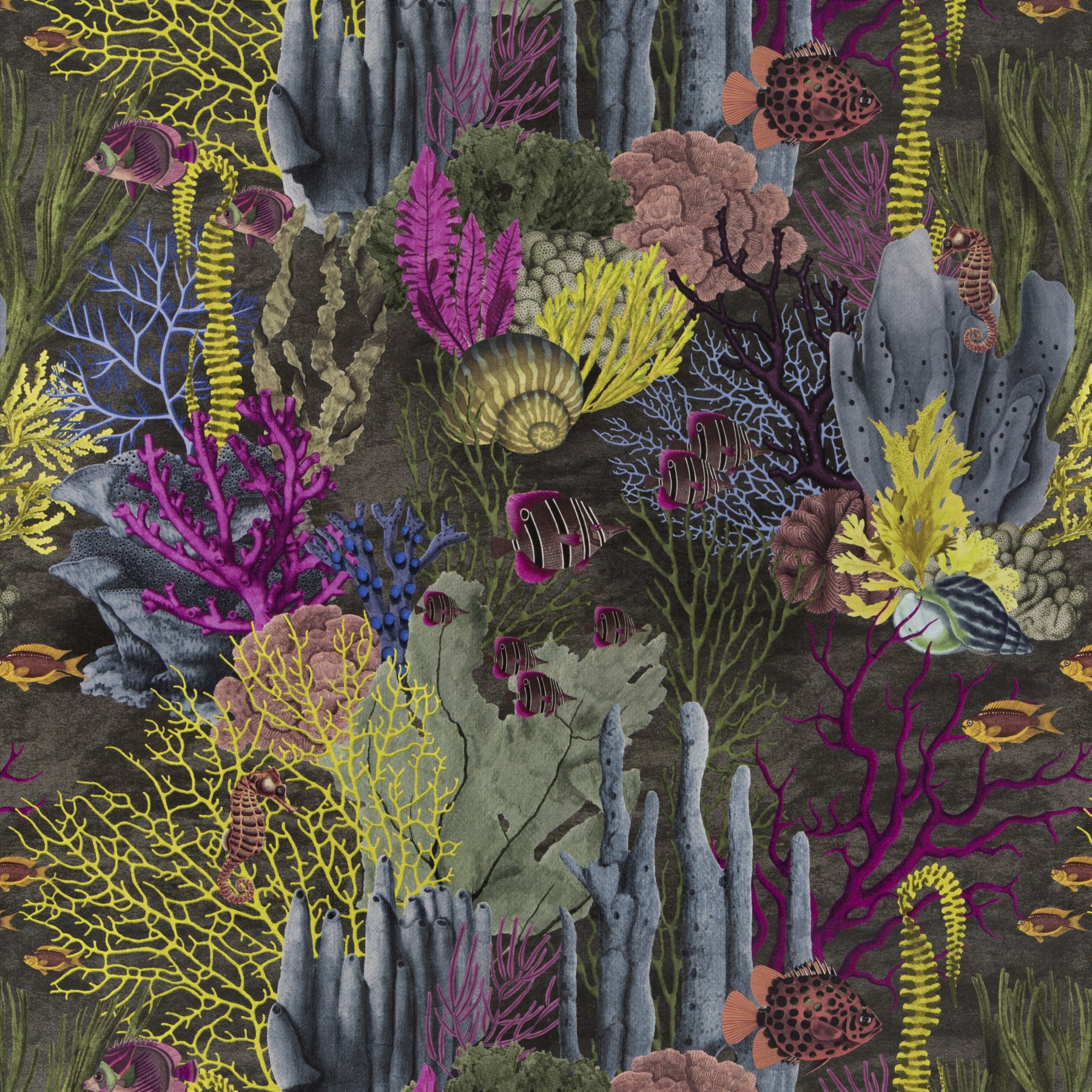 Chivasso Fabulous Reef