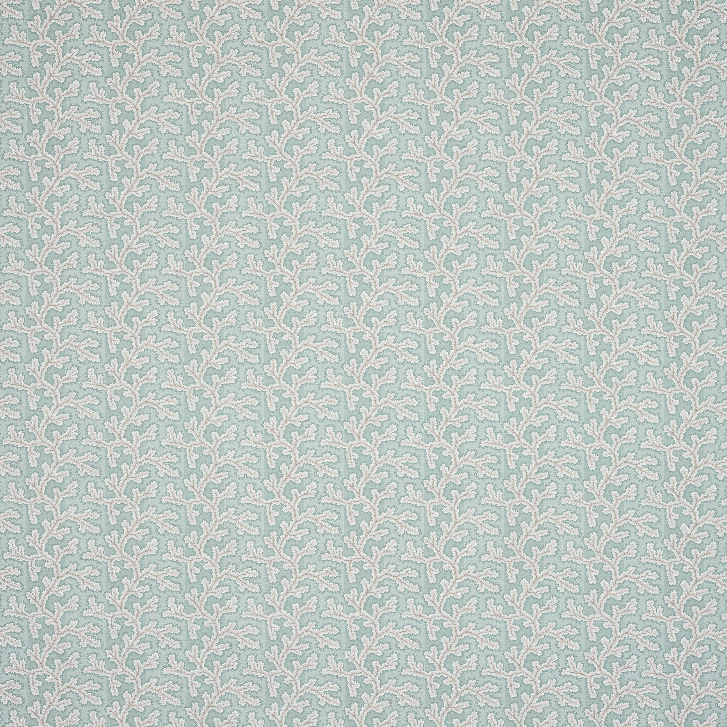 Aqua
