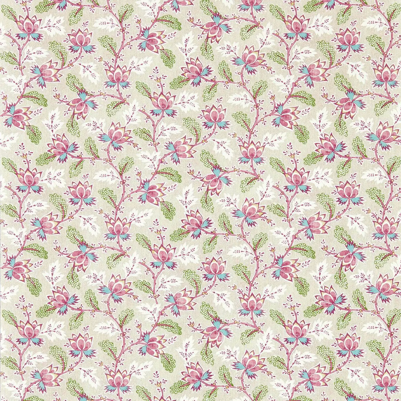 Wild Rose
