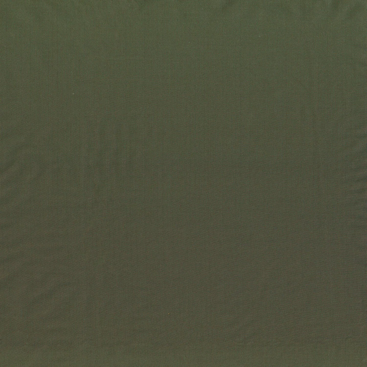 Vert jonc