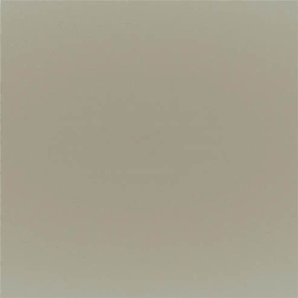 Putty