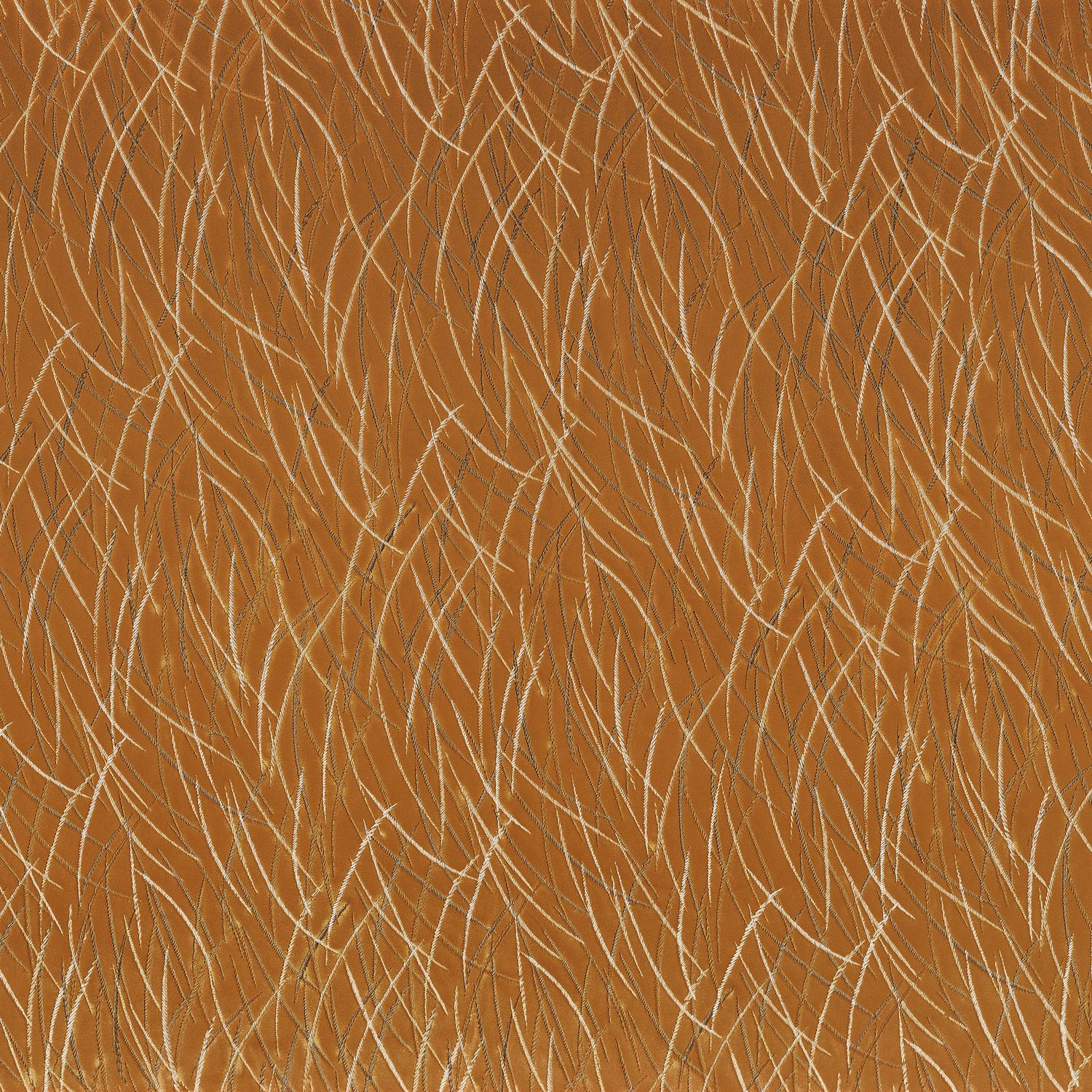 Ambre