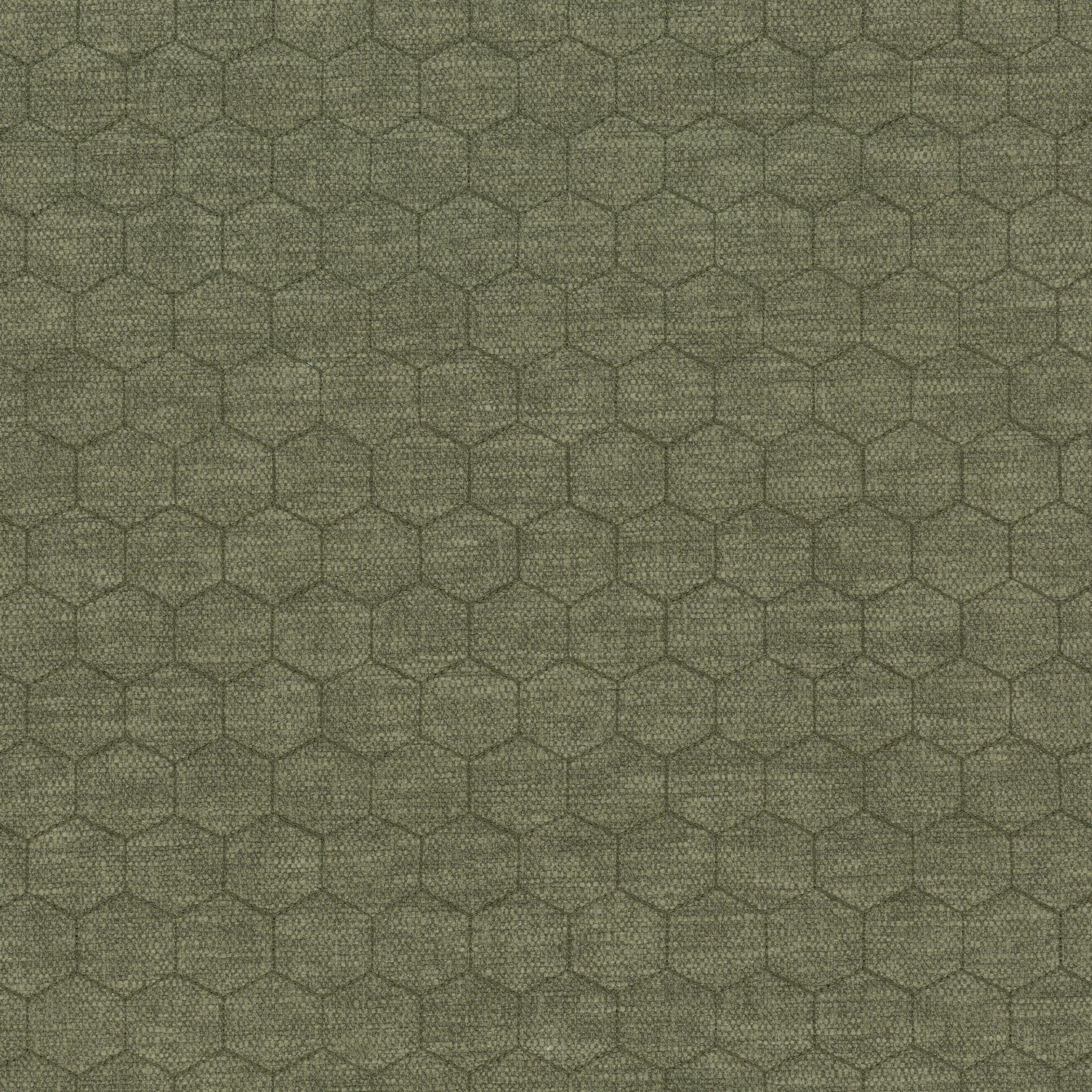031