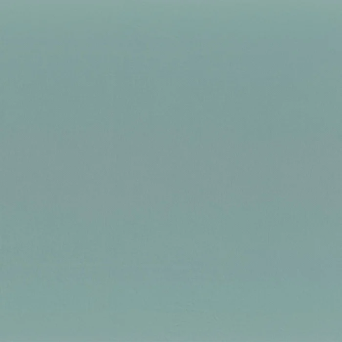 Horizon