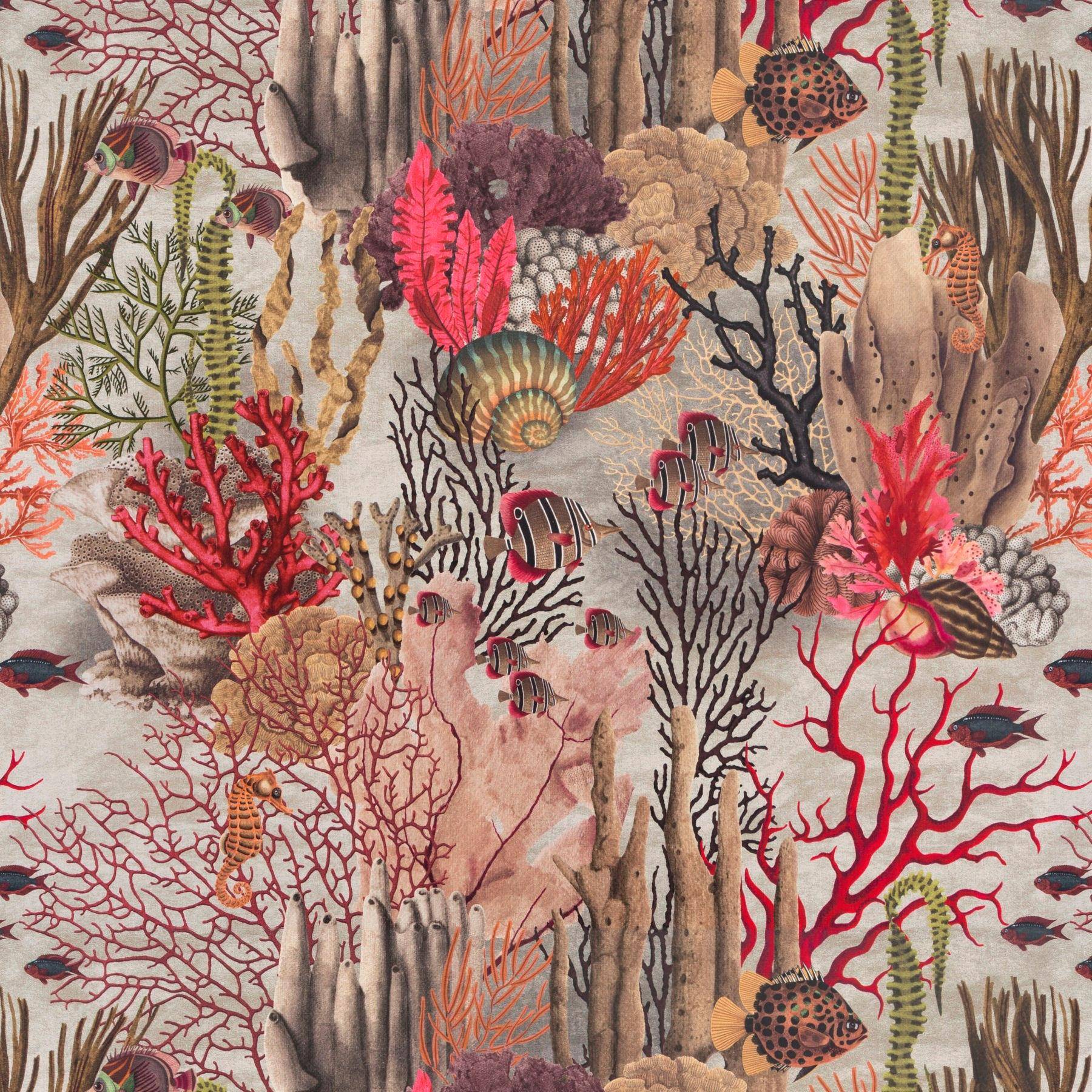 Chivasso Fabulous Reef